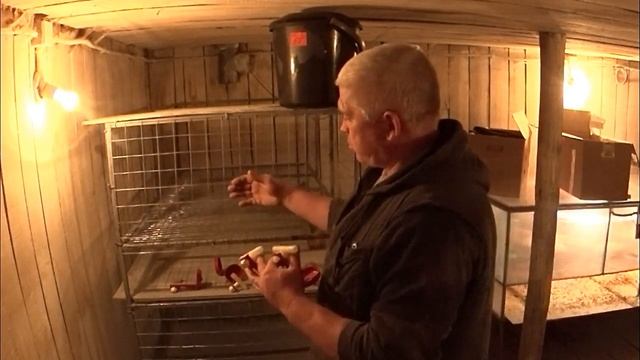 Клетка для бройлеров своими руками Размер клетки , материал для клетки смотреть онлайн