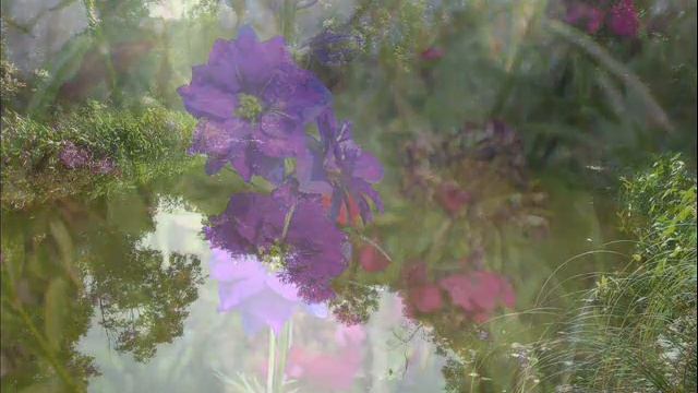 Chopin, Waltz # 7 (Op. 64 #2) смотреть онлайн