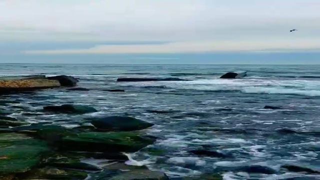 Одесса море 18 Февраля смотреть онлайн