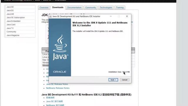 INSTALAR IDE NETBEANS 8.2 CON JDK 8U111 EN WINDOWS 10 смотреть онлайн