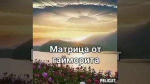?Матрица Гаряева от гайморита.