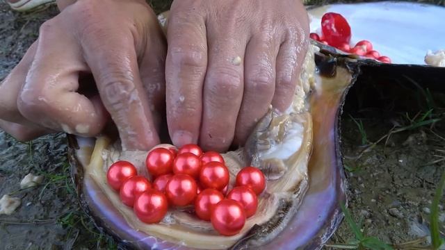 The river clam hiding under the bridge has devoured rubies and produced a large amount of pearls смотреть онлайн
