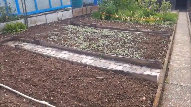 20 Вецлар смотреть онлайн