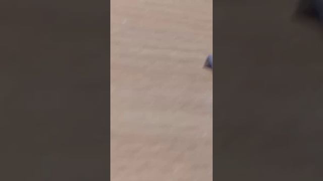 Скобы.Как пользоваться скобами?Мои скобы.Скобы от степлера.Как правильно вложить скобы в степлер? смотреть онлайн