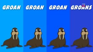 животных-звук-песни-образовательных-виде_21.mp4