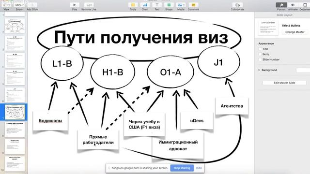 Рабочие визы в США | Релокейт IT специалистов | Программист в США | uDevs смотреть онлайн