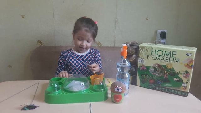 Набор для выращивания растений «Home Florarium» обзор смотреть онлайн