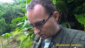 29 выпуск. ПЕРУ, Амазонка. Рыбалка и пираньи! Змеи и джунгли! Лаундж в амазонской сельве
