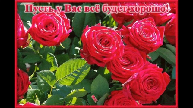 С ДНЁМ РОЖДЕНИЯ ГАЛИНА ! смотреть онлайн