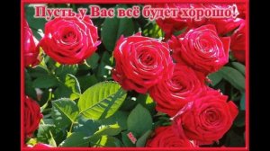 С ДНЁМ РОЖДЕНИЯ  ГАЛИНА !