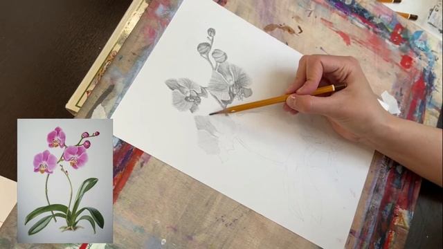 Марафон Рисунок карандашом. 2 урок. Орхидея смотреть онлайн
