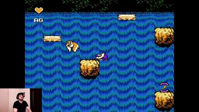 Darkwing Duck Speedrun TAS - Черный Плащ Спидран ТАС.mp4 смотреть онлайн