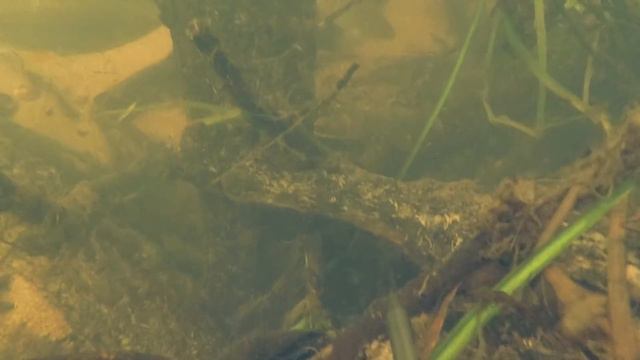 Подводная охота - Неизданное 3 смотреть онлайн