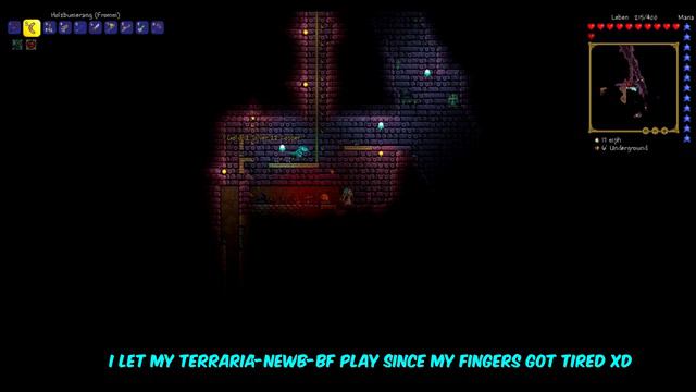 Terraria: 1.3.0.8 Dungeon Guardian Kill [map included] смотреть онлайн