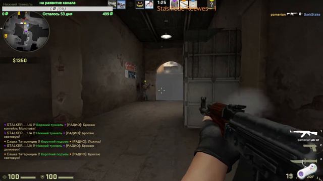 стрім Counter-strike: Global Offensive🔴 UA смотреть онлайн