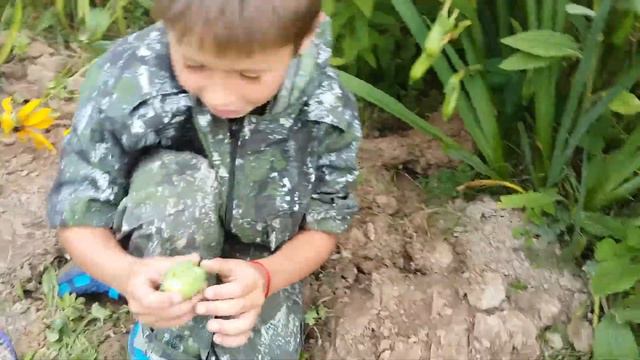 долбим дикие огурцы даааа! смотреть онлайн