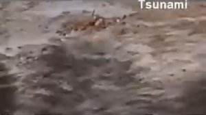 ЦУНАМИ В ТАЙЛАНДЕ ГЛАЗАМИ ОЧЕВИДЦЕВ!!! ЭТО ПОСЛЕДНЕЕ, ЧТО ОНИ ВИДЕЛИ!!!