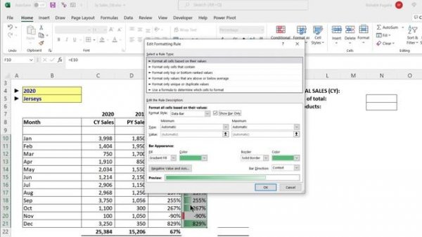 Dynamic Excel Dashboard [Raw Data to Excel Dashboard]