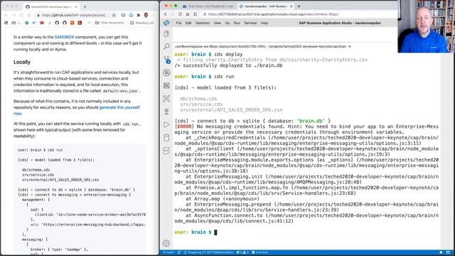 Developer Keynote - BRAIN component - part 1 смотреть онлайн