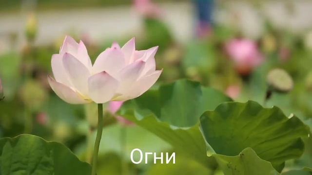 Марк Аноприев - Весна (на стихи Леши Sunrise) #песня #песня_текст #мояпесня смотреть онлайн