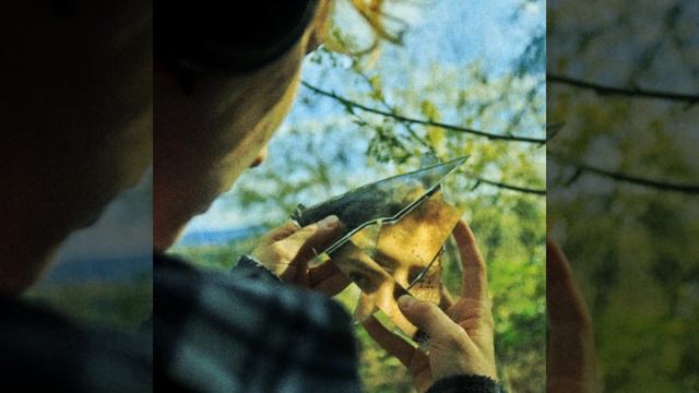 Животный инстинкт