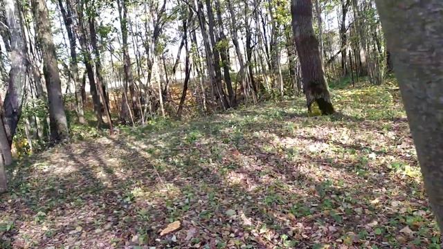 Строительство без ограничений: материалы и технологии