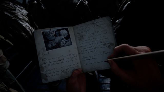 Call Of Duty  WWII Shadow War Pc Laptop 4K