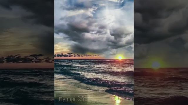 KRBK-ПАЛЬМА смотреть онлайн