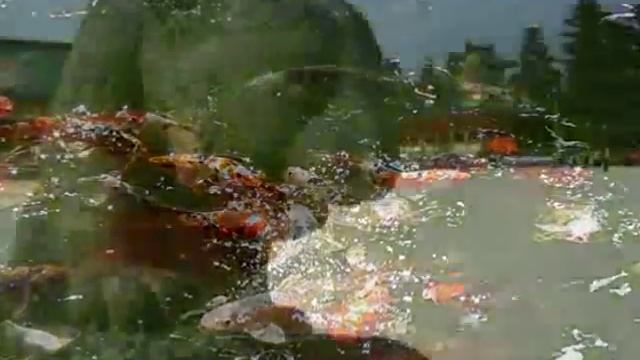 Волшебная мелодия - Бамбуковая флейта смотреть онлайн