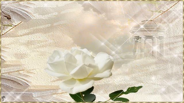 Белые розы free project PSP смотреть онлайн