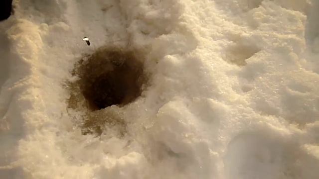 Щука на жерлицу на лесных озёрах северной Карелии смотреть онлайн