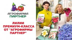 ЛИЛИИ ПРЕМИУМ-КЛАССА ОТ "АГРОФИРМЫ ПАРТНЕР"