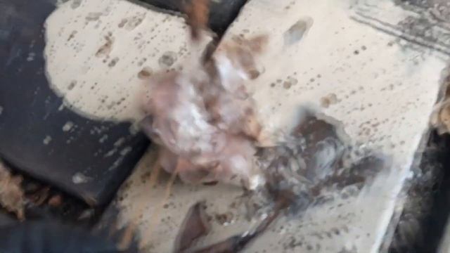 Компрессор Compass пытается но не хочет запускаться смотреть онлайн