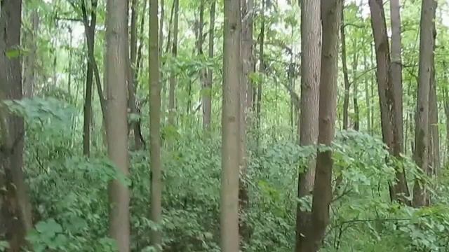 Протвино - город физиков смотреть онлайн