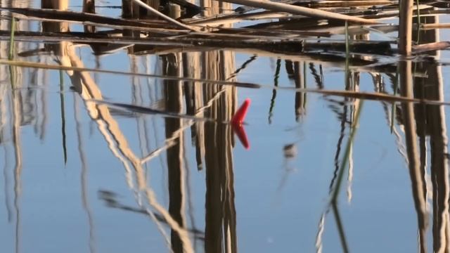 ЛОВЛЯ КАРАСЯ НА (ПОПЛАВОЧНУЮ УДОЧКУ) И МОРМЫШКУ смотреть онлайн