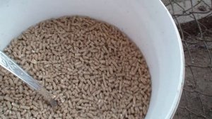 УТКА СТАРТ 53  В 57 ДНЕЙ КОРМЛЕНИЕ ВЗВЕШИВАНИЕ