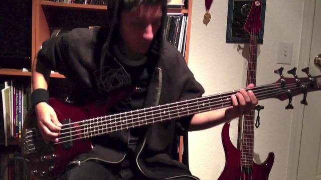 We Came As Romans | Hope [Bass Cover] смотреть онлайн