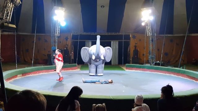 Цирк для детей Представляет! Много животных клоунов и акробатов. смотреть онлайн