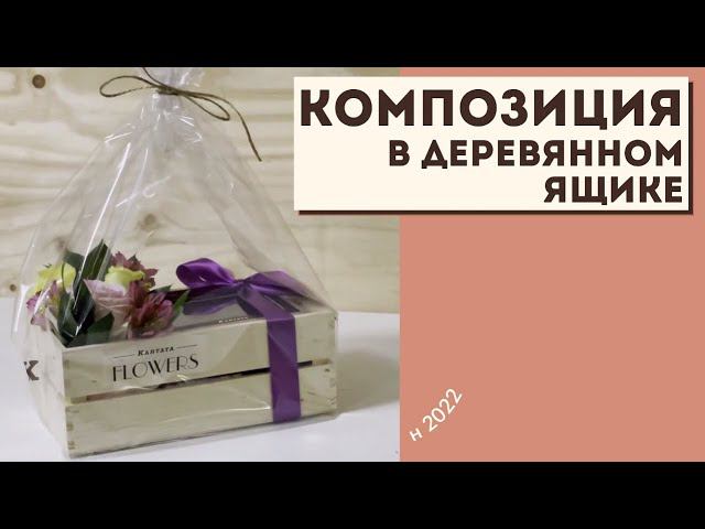 Ящик KF2022 смотреть онлайн