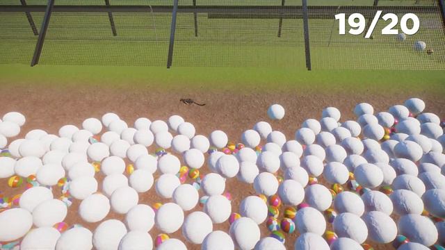SLOWEST Animal Racing Challenge! Planet Zoo