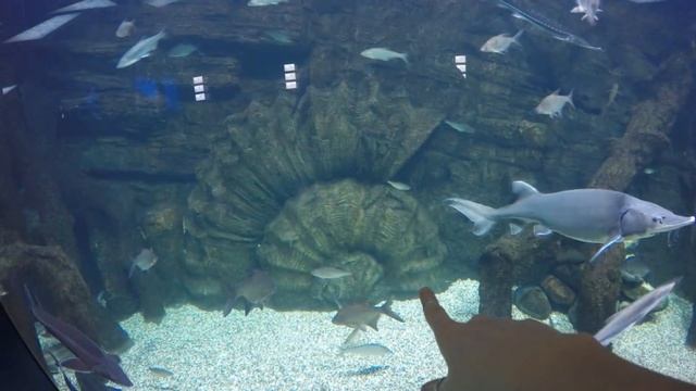 VLOG: Топ-5 лучших развлечений в Москве! смотреть онлайн