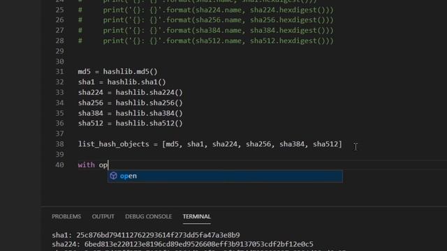 Hashing Files in Python | Hash Generator Using Hashlib (md5, sha256, etc) смотреть онлайн