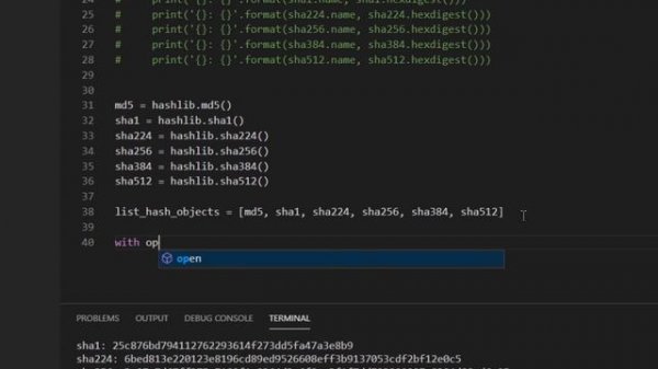 Hashing Files in Python | Hash Generator Using Hashlib (md5, sha256, etc)