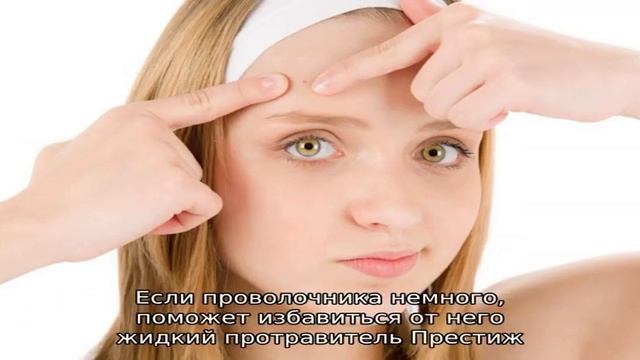 Как избавиться от проволочника: народные средства и химические смотреть онлайн