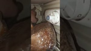 Отключение оттайки на старых(до исторических) холодильниках.