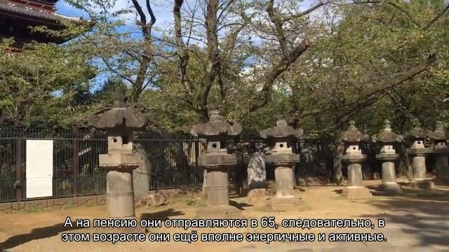 5 причин, почему пенсионеры в Японии живут долго и счастливо смотреть онлайн