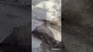 Чистка шиферной крыши кёрхером.