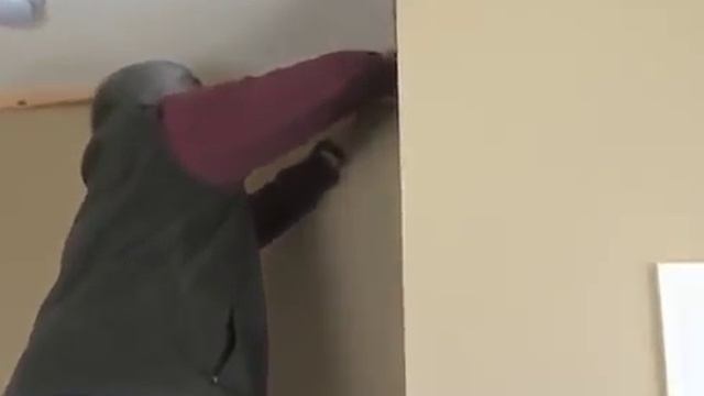 Install Crown Molding With The Kreg Crown Pro™