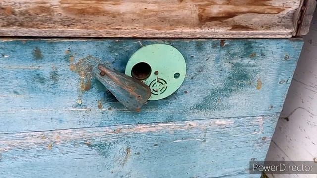 Признаки хорошей зимовки пчёл на воле в декабре смотреть онлайн