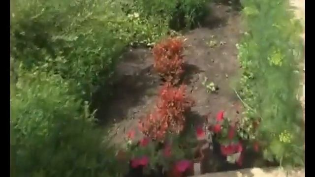 Малиновая 3 смотреть онлайн